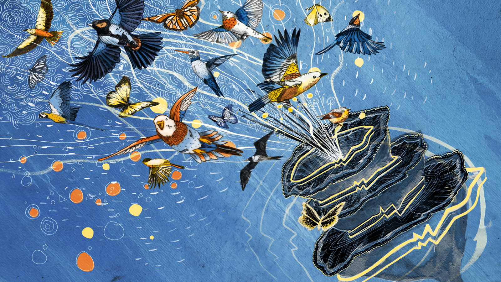 sandra dieckmann illjustration 1