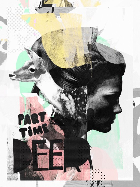 Raphael vicenzi collages and illustrations 0