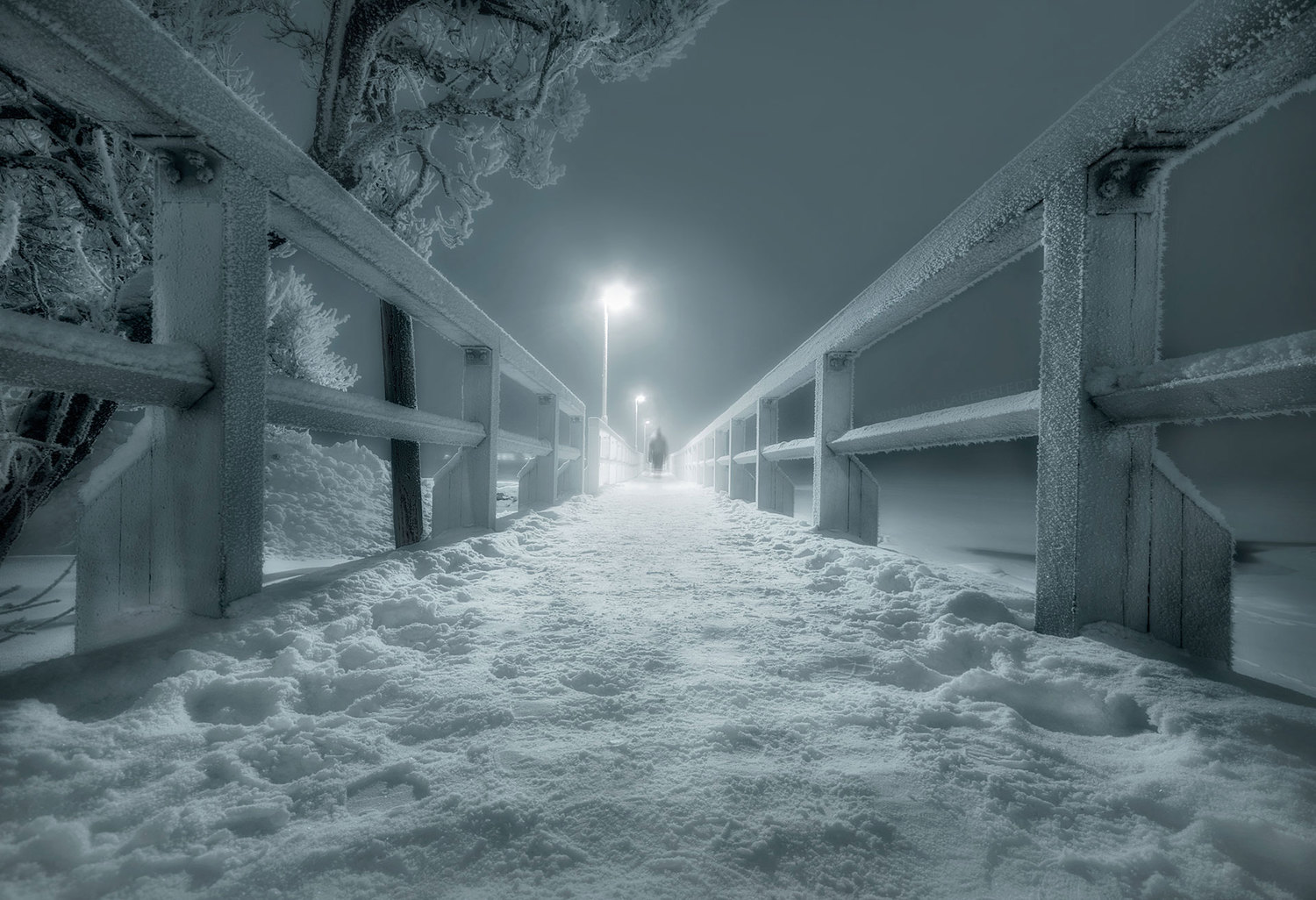 mikkolagerstedt-photography-0