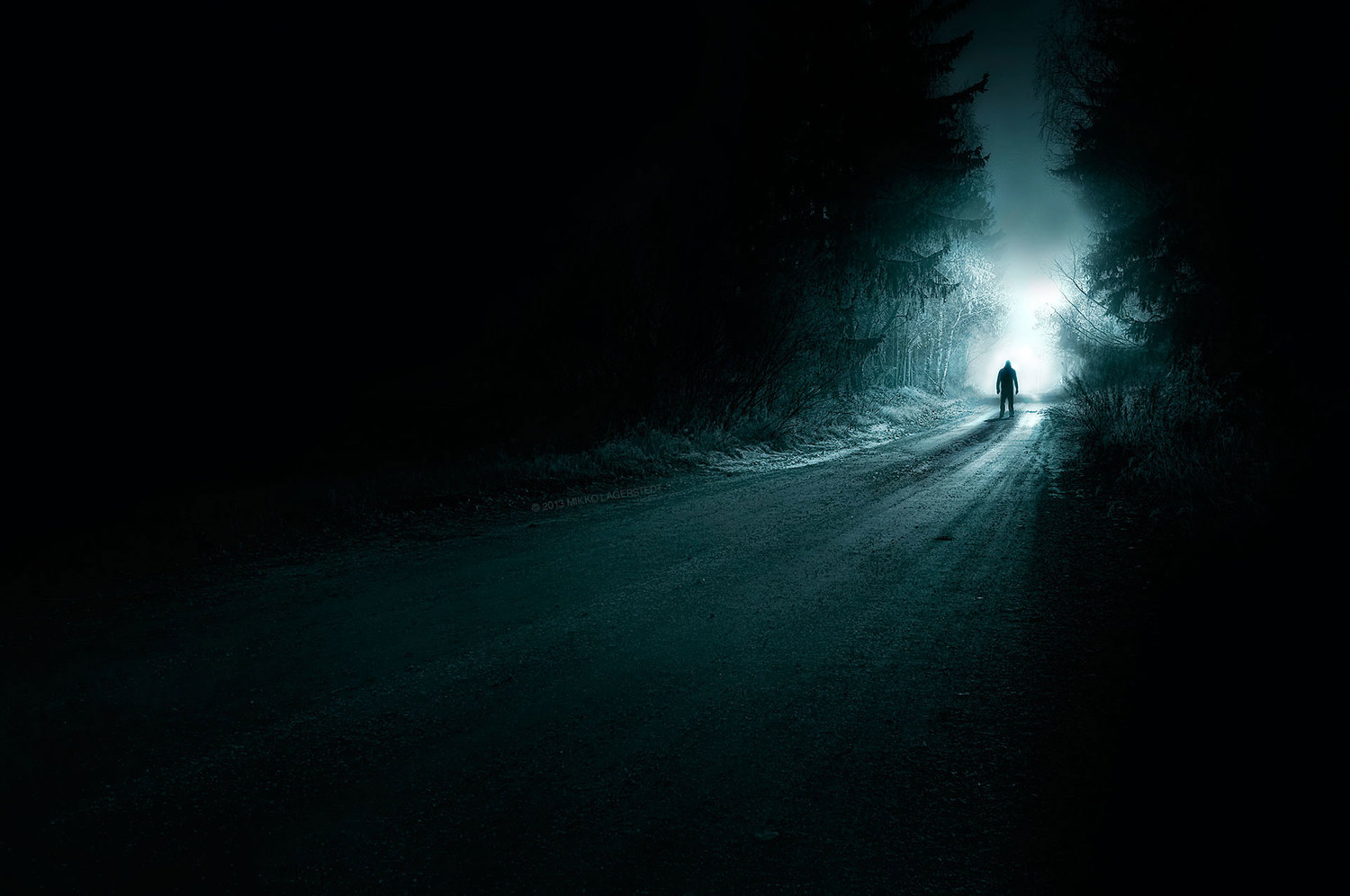 mikkolagerstedt-photography-2