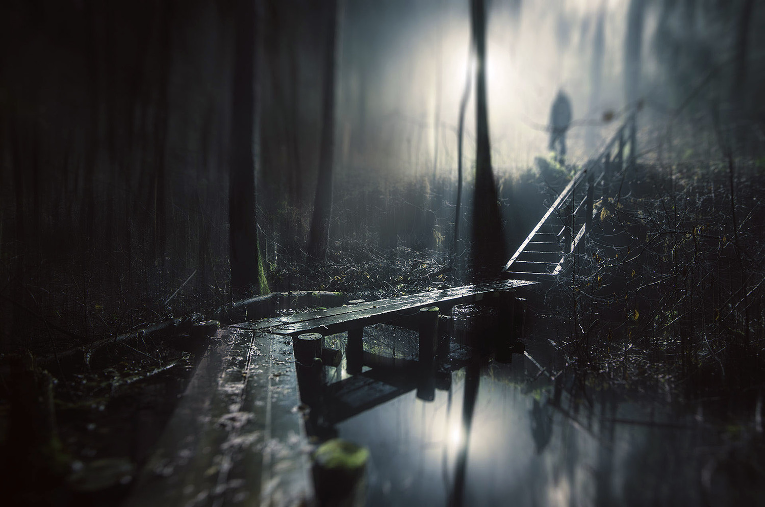 mikkolagerstedt-photography-3
