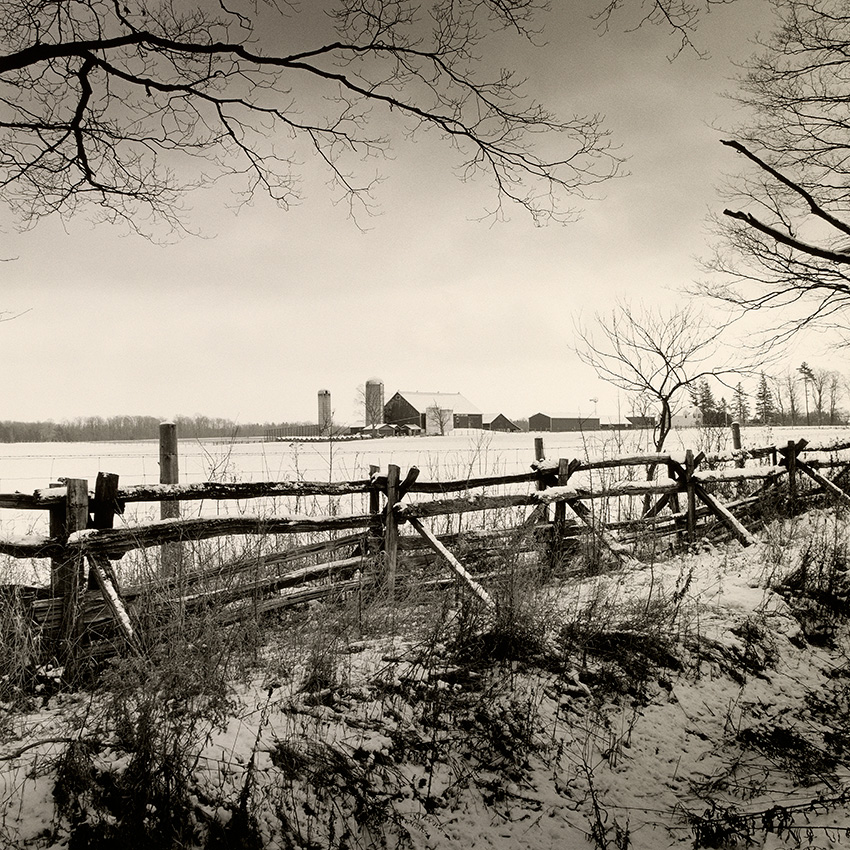 parque-de-invierno-aromas-de-la-luz-fotografia-oldskull-1
