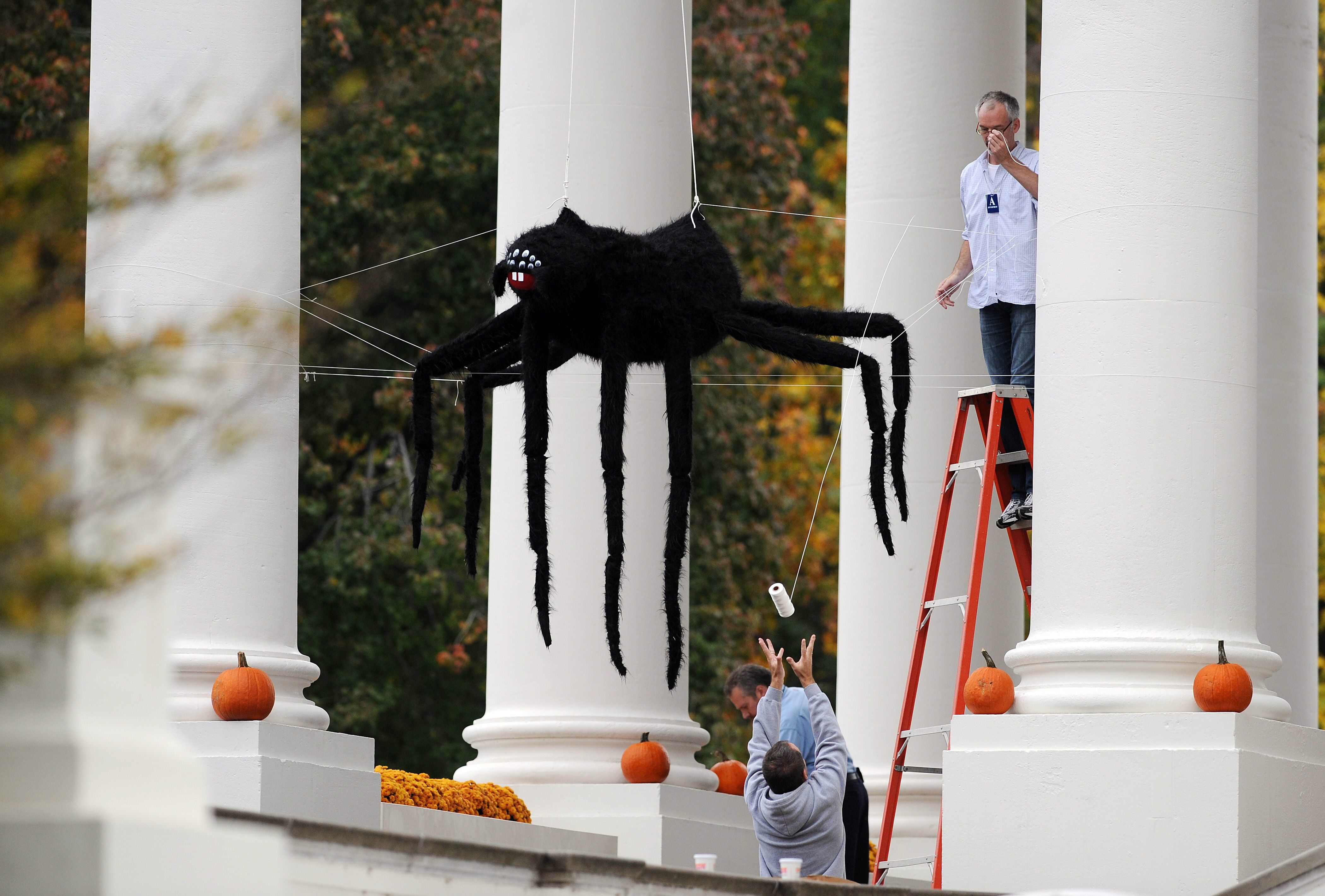 Workers install Halloween decorations at the North Portico of the Whi