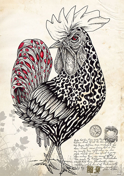 caguana-design-oldskull-1