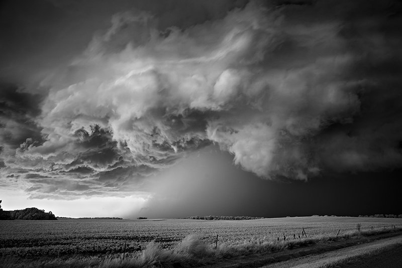 Dobrowner-oldskull-16