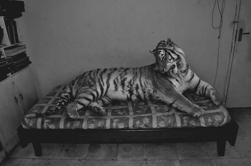 aganharahap-fotografia-oldskull-10