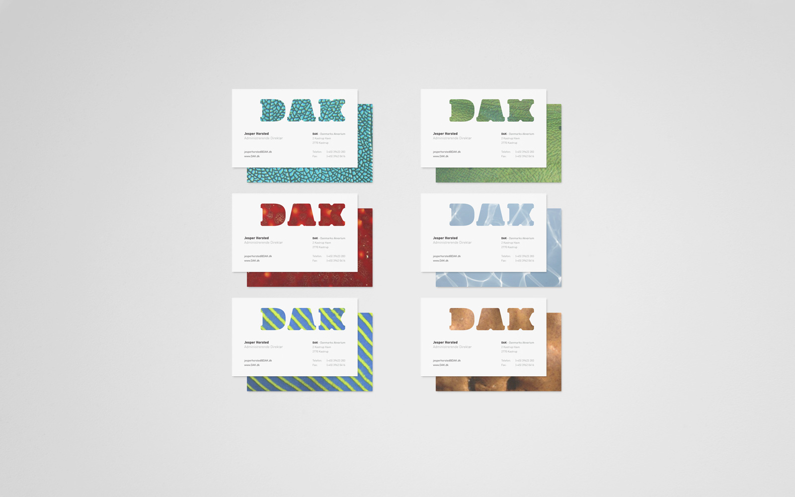 MAlbrecht-diseno-oldskull-12