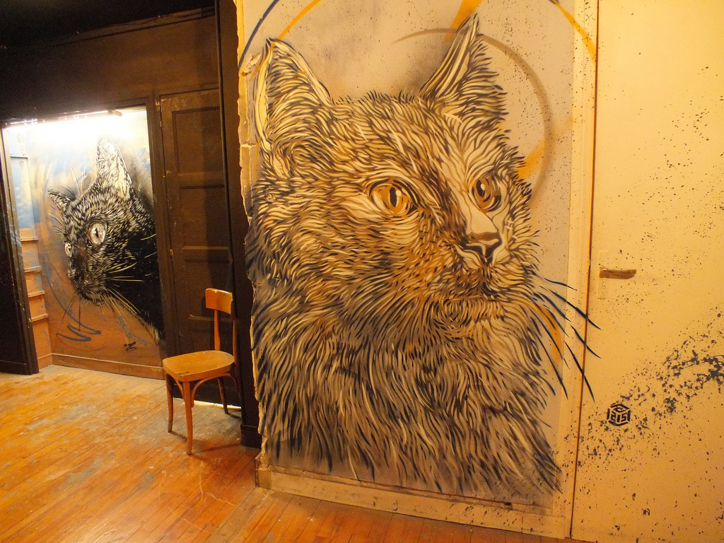 c215-street-art-oldskull-7