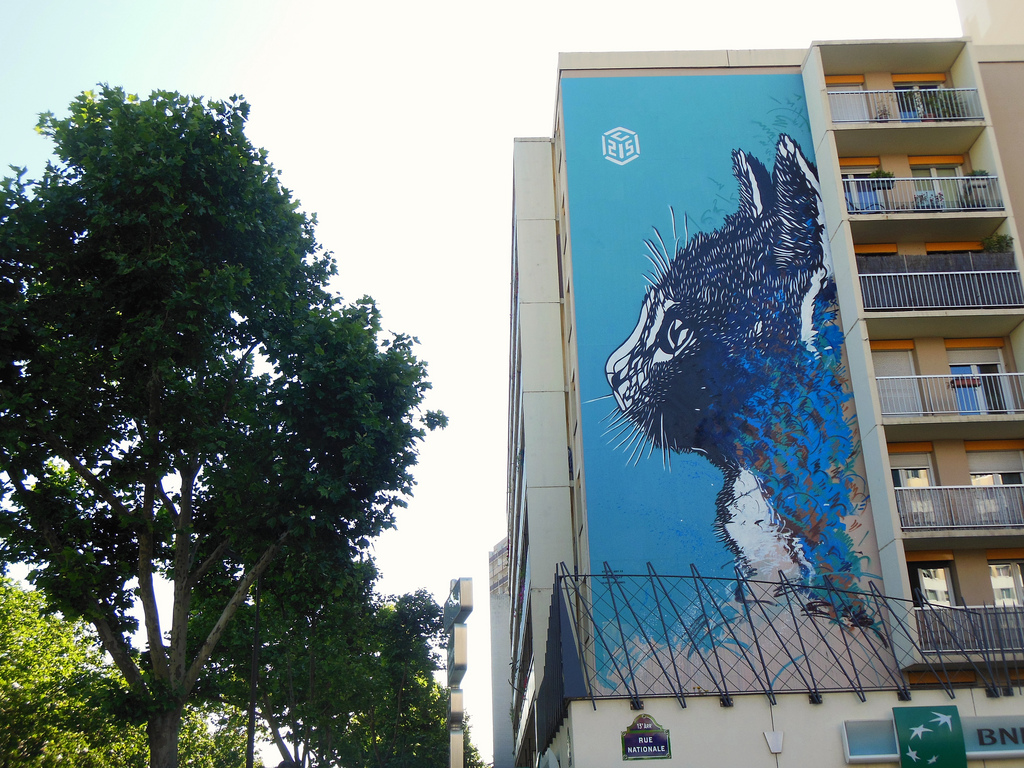c215-street-art-oldskull-9
