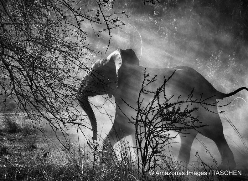 sebastiaosalgado-foto-oldskull-09