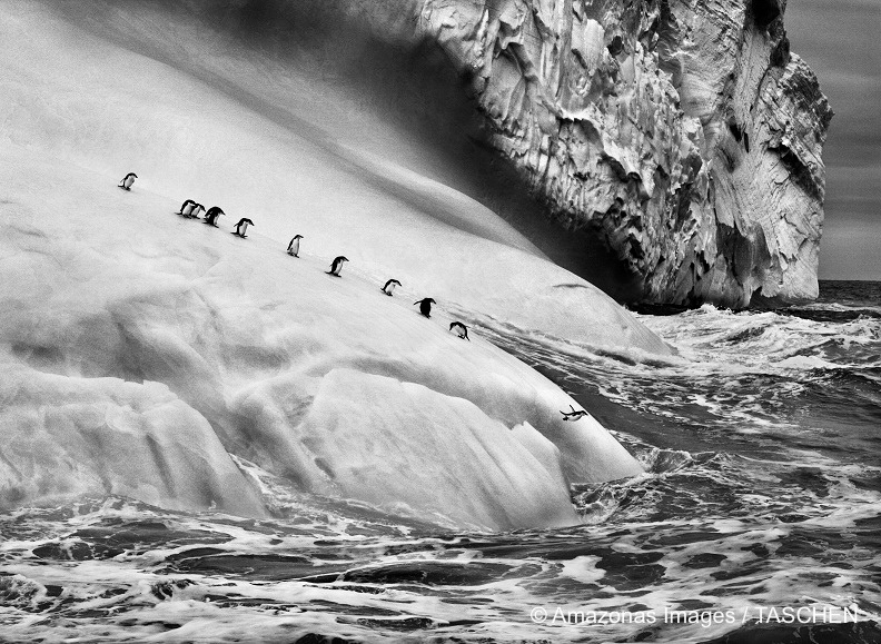 sebastiaosalgado-foto-oldskull-10