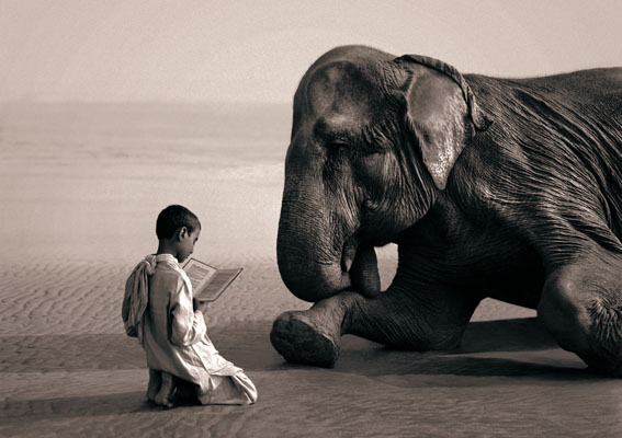 GregoryColbert-foto-oldskull-06
