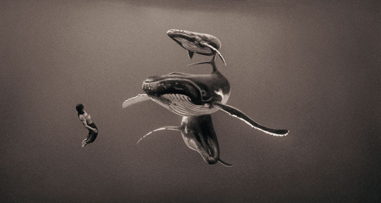 GregoryColbert-foto-oldskull-09