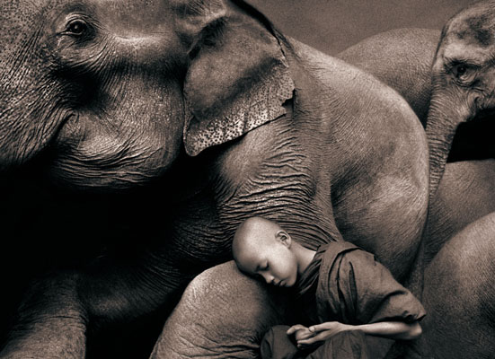 GregoryColbert-foto-oldskull-15