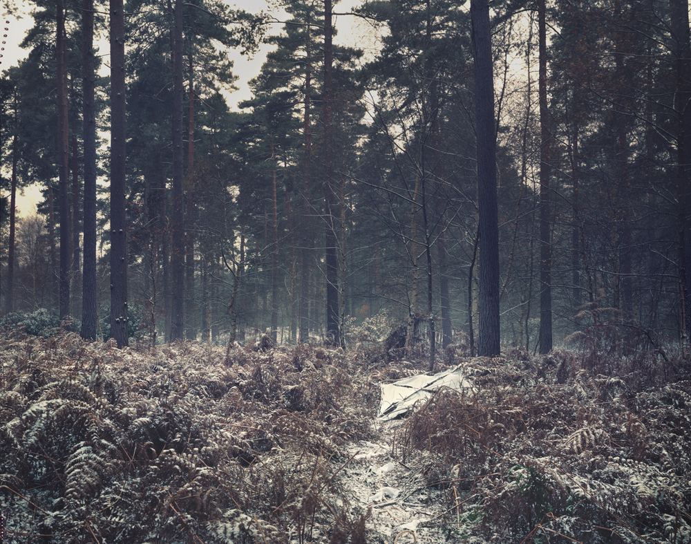 JoMetsonScott-foto-oldskull-15