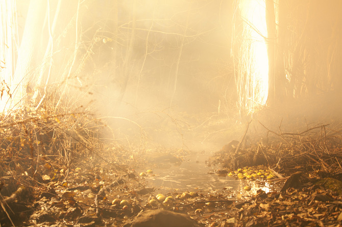 ameliabauer-foto-oldskull-03
