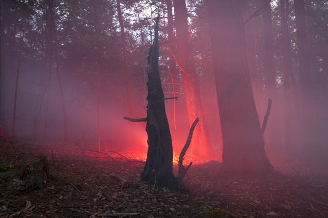 ameliabauer-foto-oldskull-14