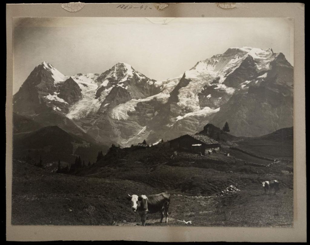national-geographic-pictures-oldskull-9