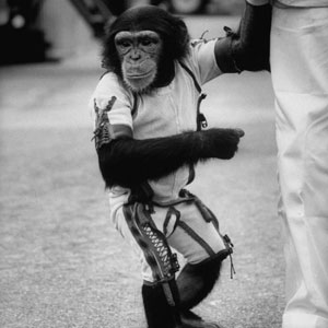 Ham_primer_chimpancé_astronauta-fotografia-oldskull-thumb