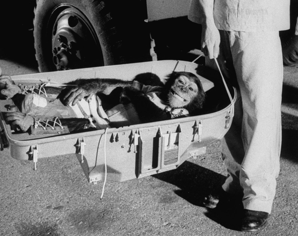 Ham_primer_chimpancé_astronauta-fotografia-oldskull-01
