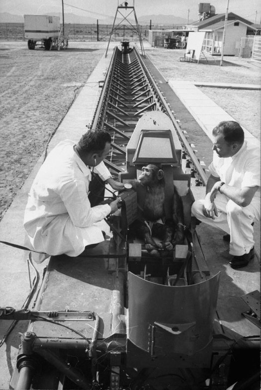 Ham_primer_chimpancé_astronauta-fotografia-oldskull-02