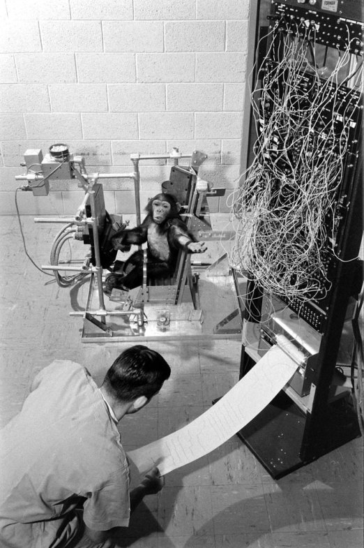Ham_primer_chimpancé_astronauta-fotografia-oldskull-03