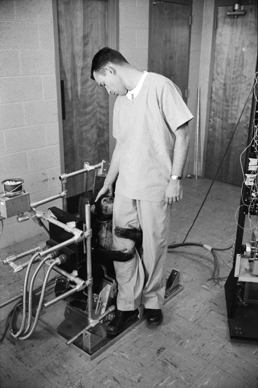 Ham_primer_chimpancé_astronauta-fotografia-oldskull-04
