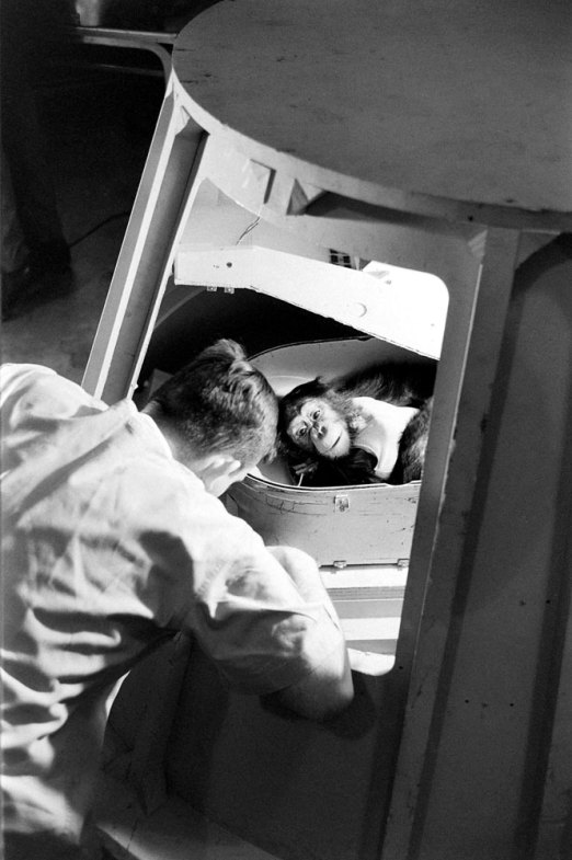 Ham_primer_chimpancé_astronauta-fotografia-oldskull-07