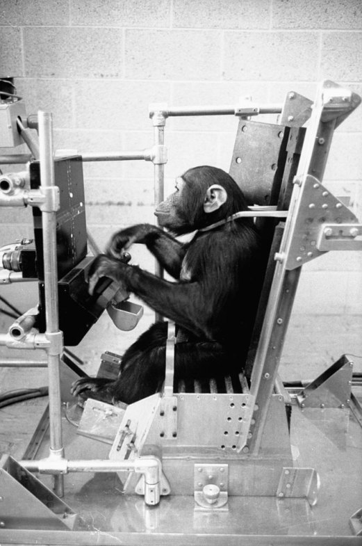 Ham_primer_chimpancé_astronauta-fotografia-oldskull-08