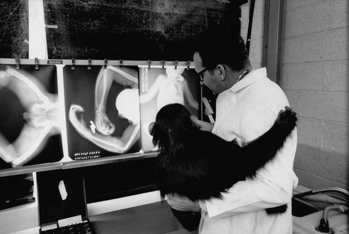 Ham_primer_chimpancé_astronauta-fotografia-oldskull-14