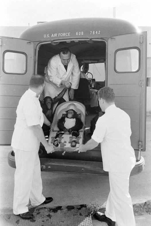Ham_primer_chimpancé_astronauta-fotografia-oldskull-19