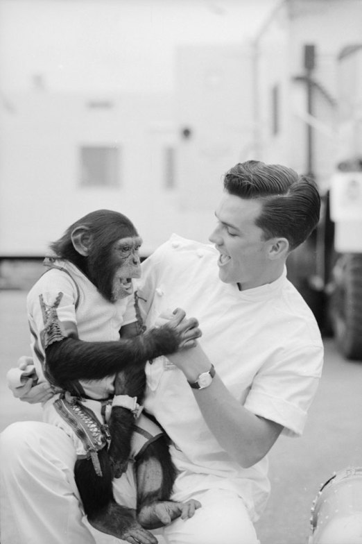 Ham_primer_chimpancé_astronauta-fotografia-oldskull-21