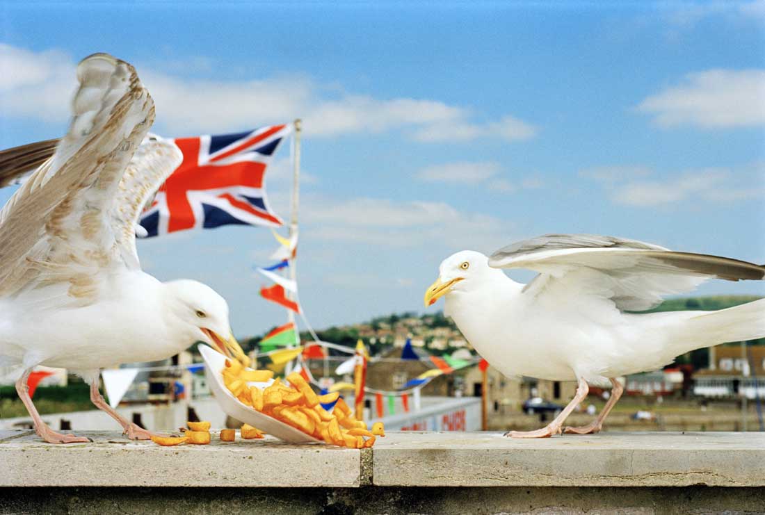 Martin-parr-photography-oldskull-11