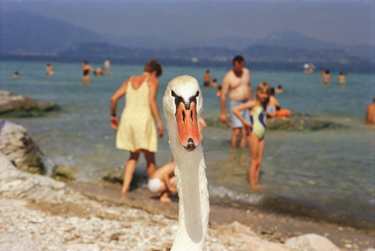 Martin-parr-photography-oldskull-12
