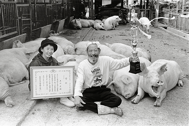 farmer and pigs photography oldskull 7