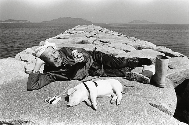 farmer and pigs photography oldskull 9