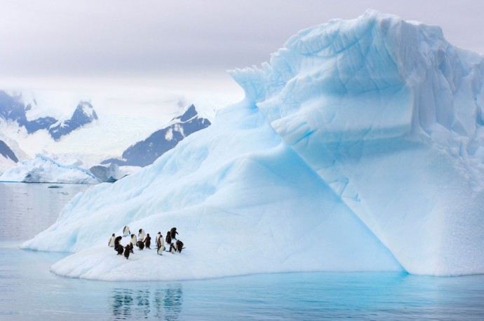 Deshielo_Polar-fotografia-oldskull-04