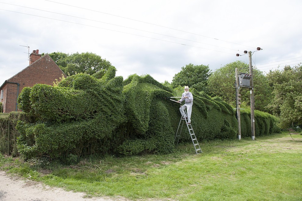 Seto-jardin-dragon-oldskull-1