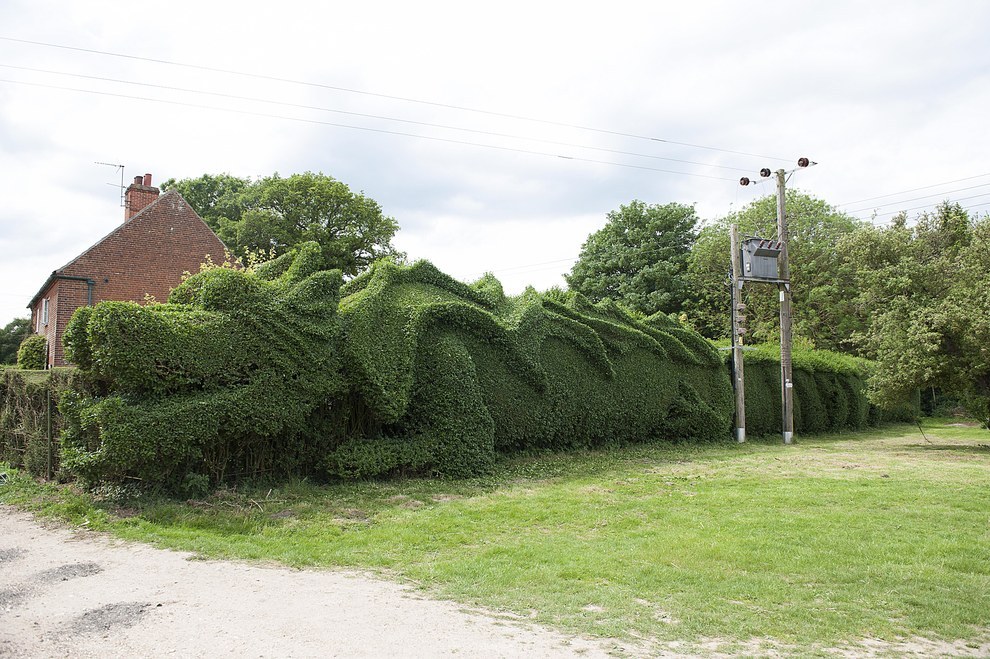 Seto-jardin-dragon-oldskull-2