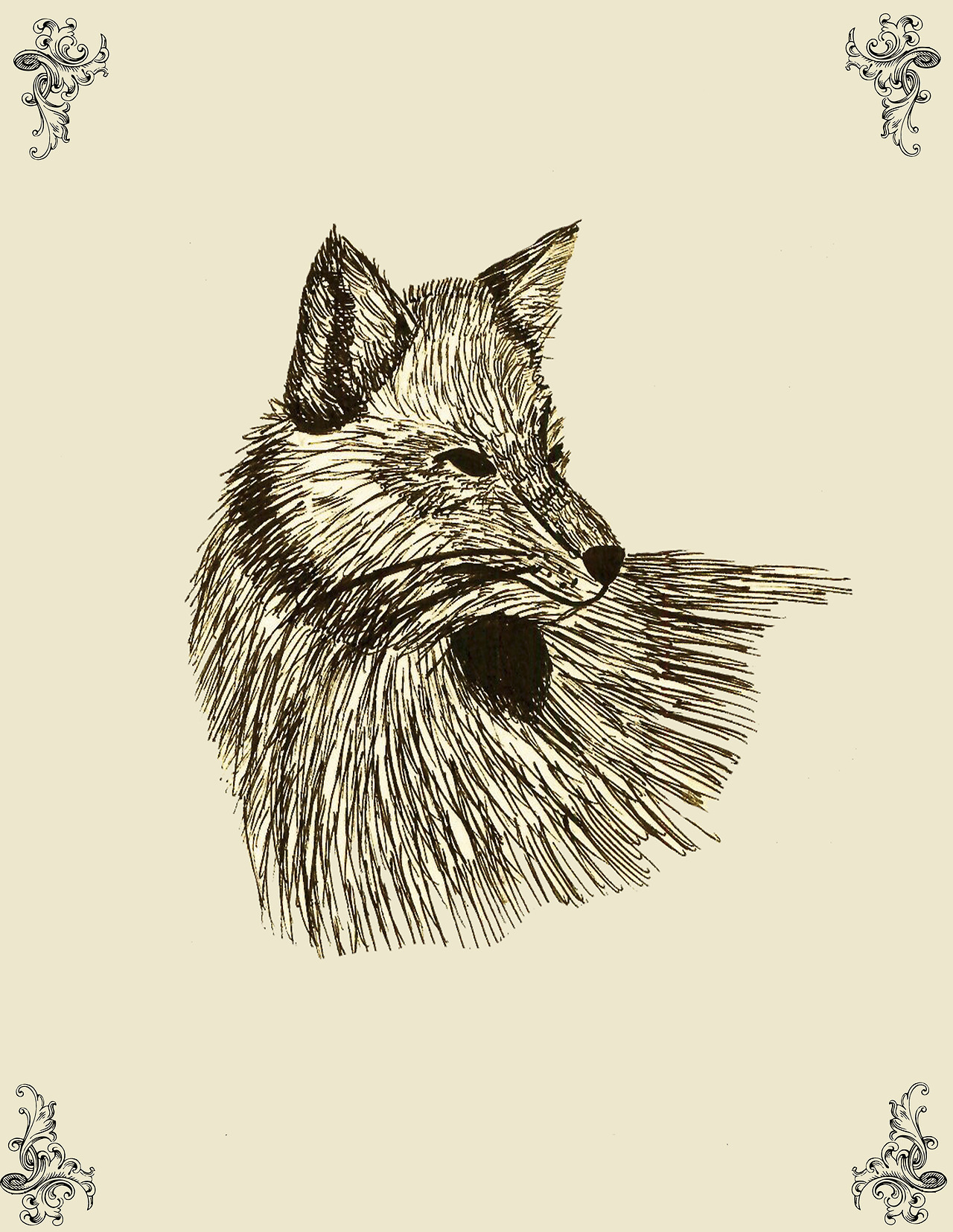 lefay-illustration-oldskull-5
