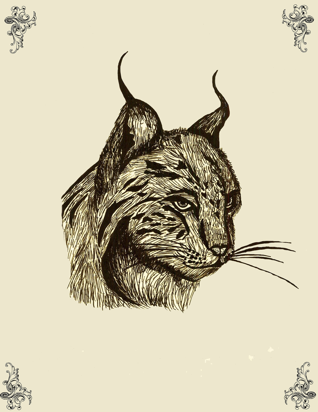 lefay-illustration-oldskull-6