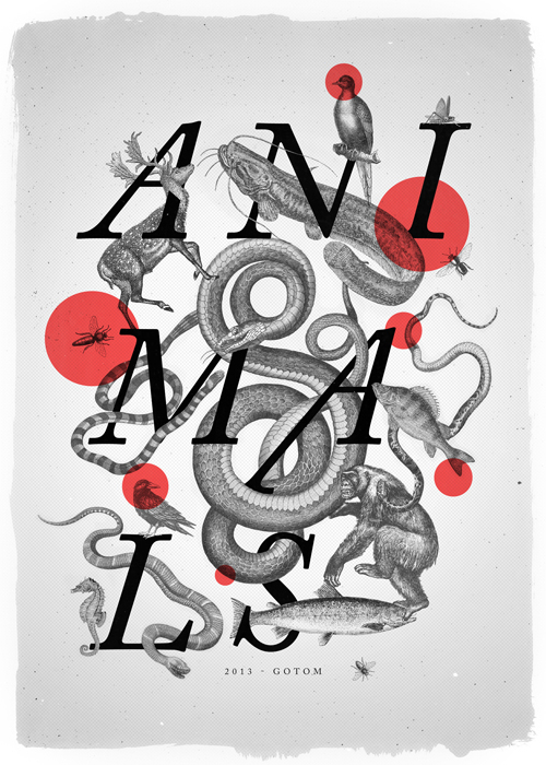 tommaso-diseno-oldskull-10