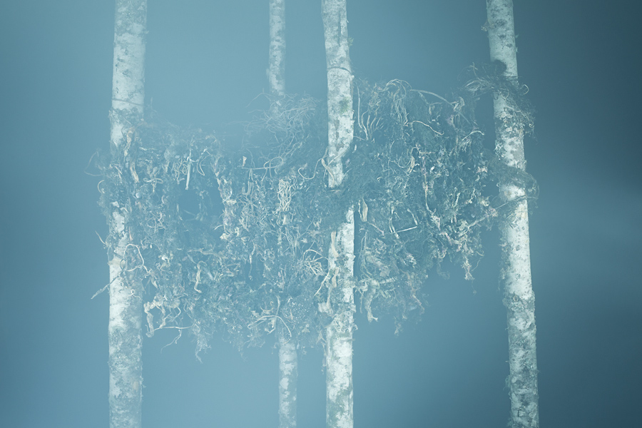 troymoth-foto-oldskull-22