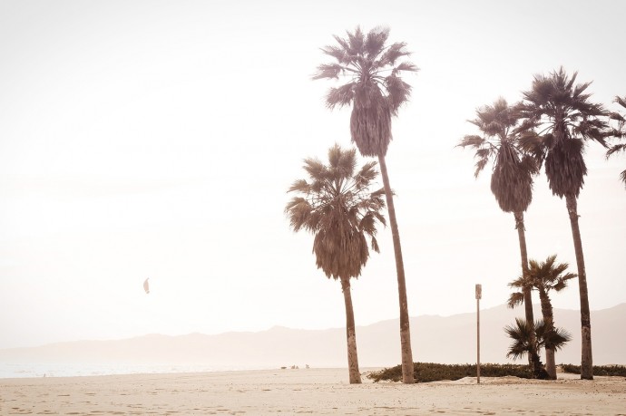 Unsplash-recursosgraficos-oldskull-01
