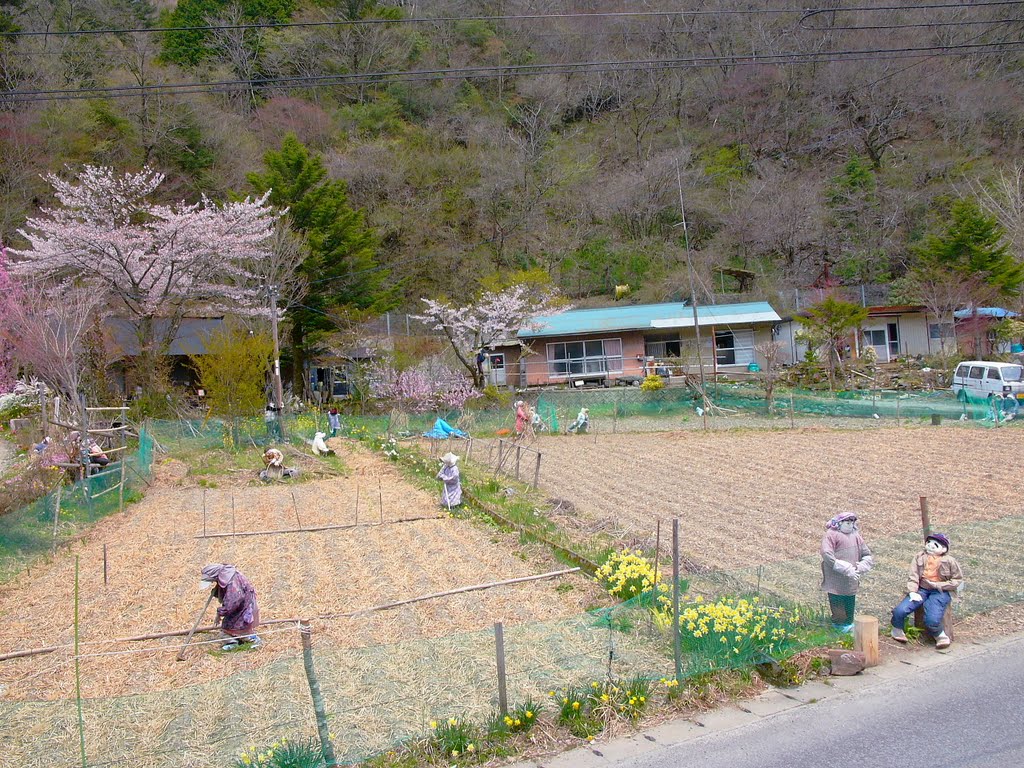 valley of the dolls japan art-9