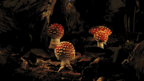 22fenomenos_naturales-miscelanea-oldskull-12