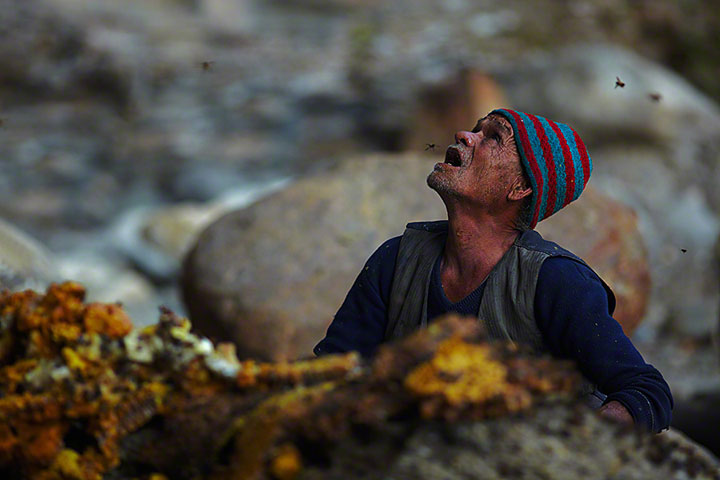 Cazadores_Miel-fotografia-oldskull-12