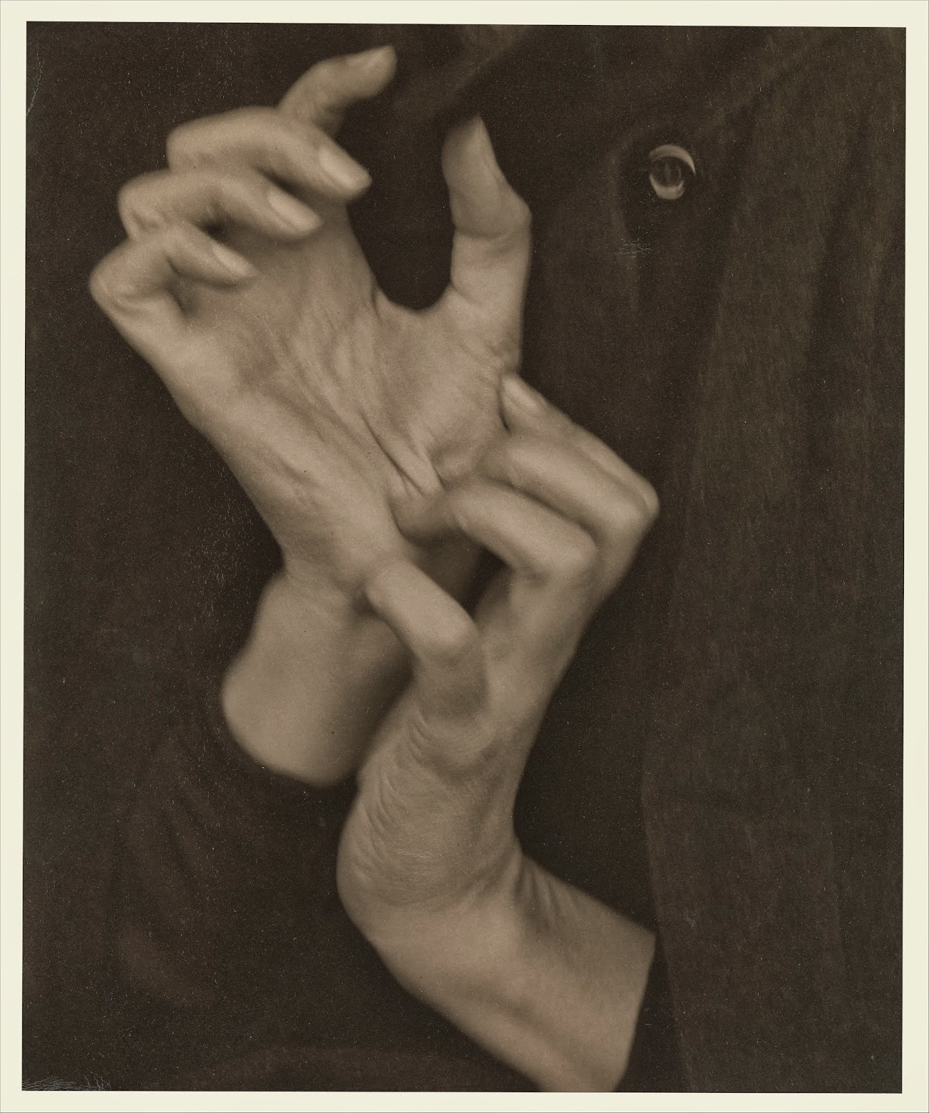 Georgia OKeeffe-Hands by Alfred Stieglitz 8