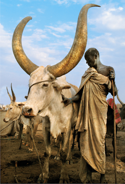 Robed Elder with Namesake Ox