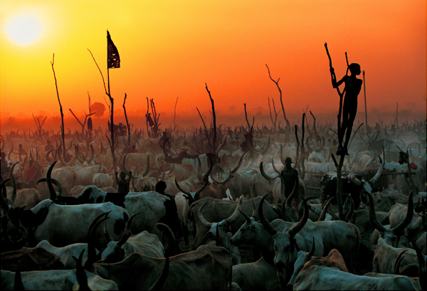 Dinka Cattle Camp